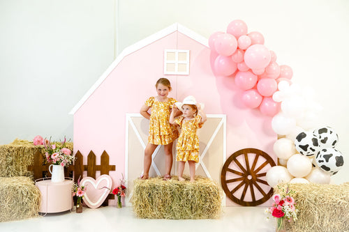 Pink Farm Yard Party Package